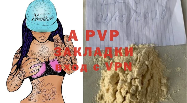 стаф Белая Холуница