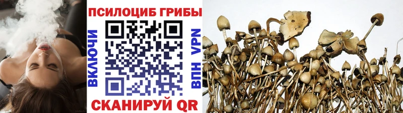 blacksprut рабочий сайт  Всеволожск  Галлюциногенные грибы Psilocybine cubensis  купить наркотик 