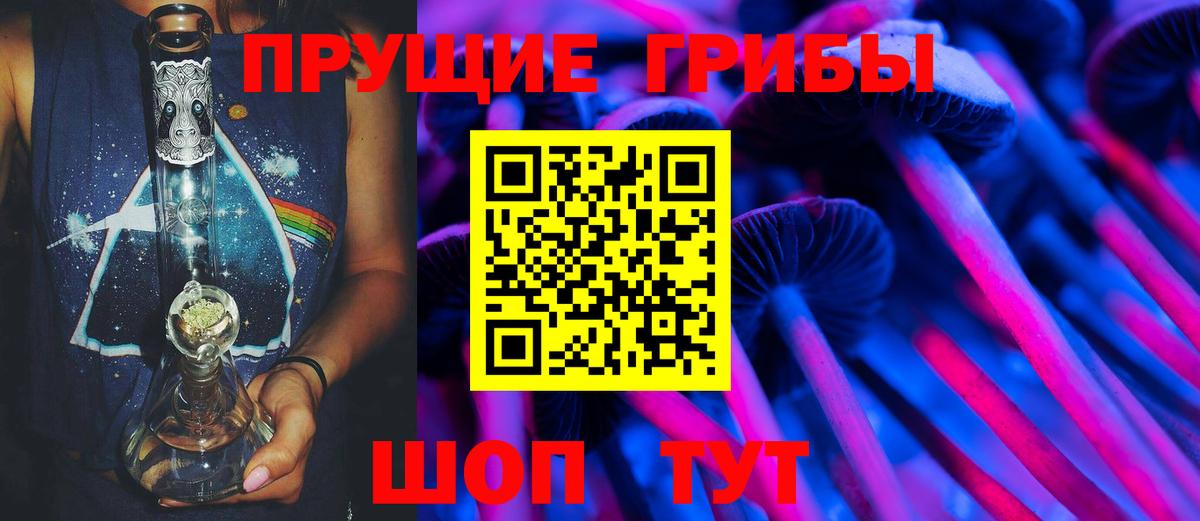 Всеволожск  Псилоцибиновые грибы мицелий  Вход с VPN 